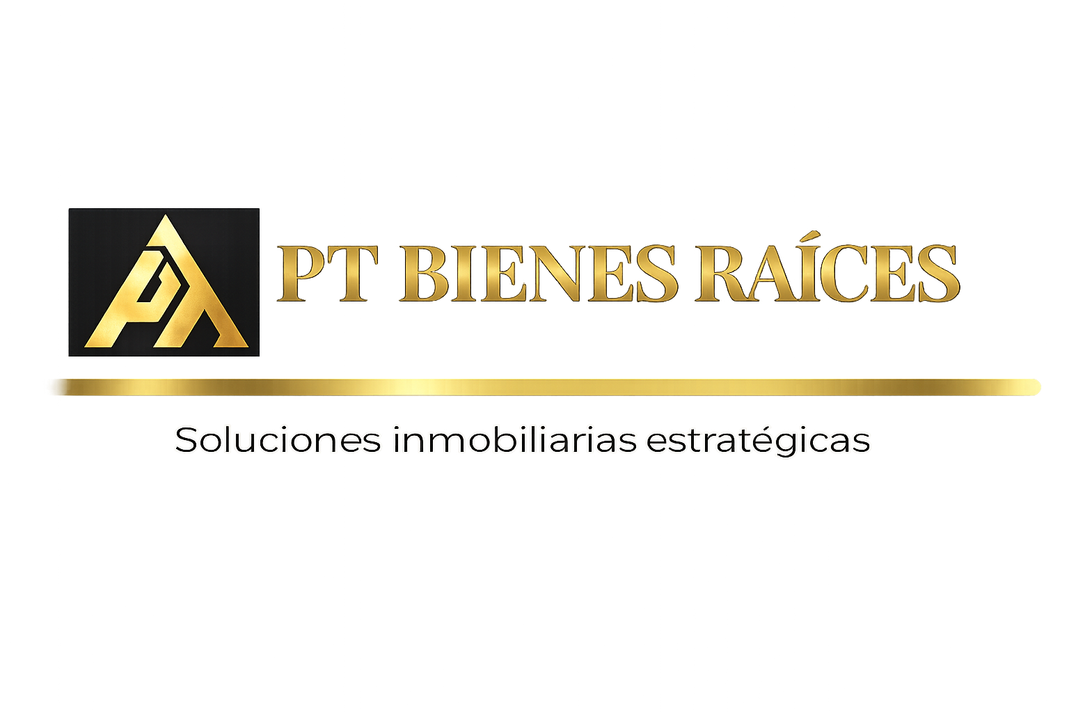 PT Bienes Raíces
